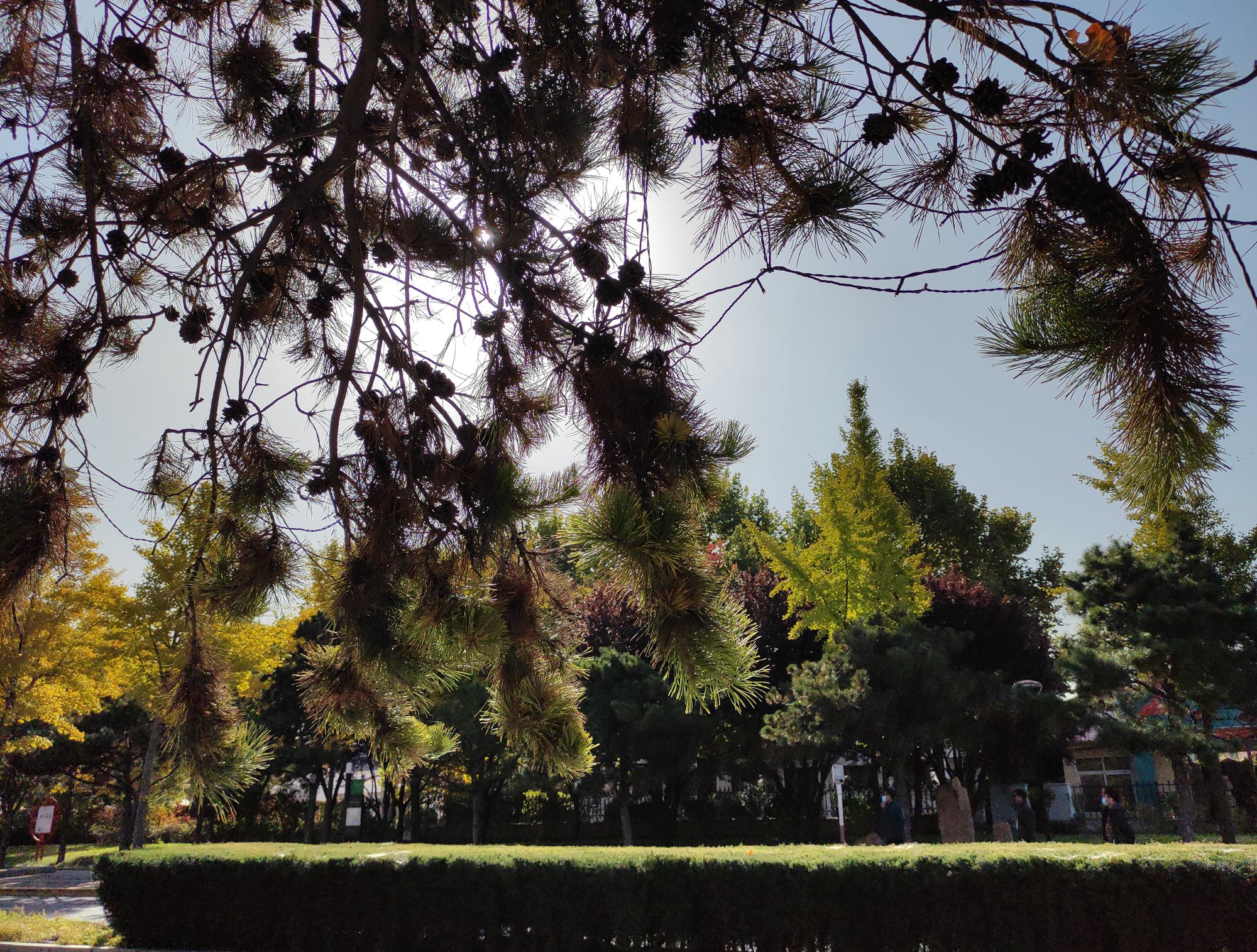 欣赏年画、邂逅大海、闲逛宜家，将生活过成诗与远方