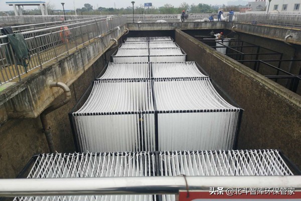 每周一星第89期：益生环保科技股份有限公司