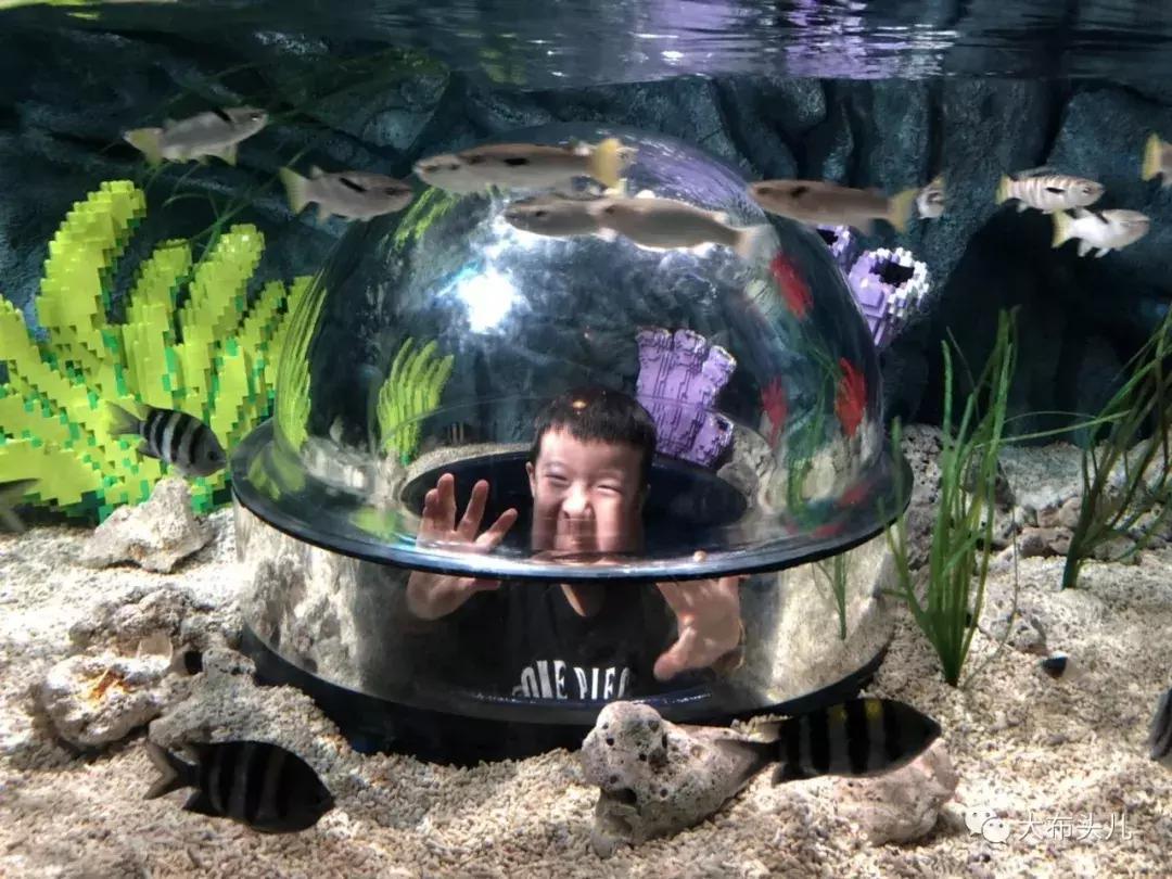 布头儿旅行|日本名古屋X白川乡自由行(上)解锁乐高乐园