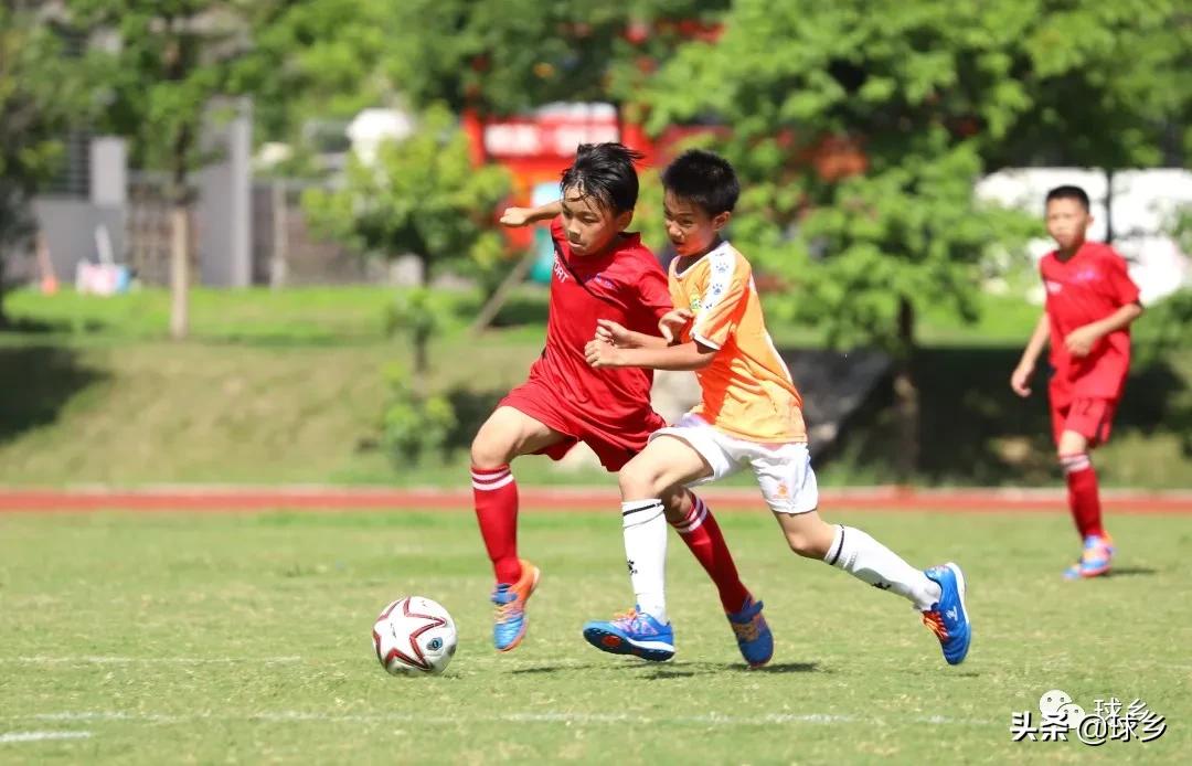 体教融合丨梅县区:中小学生足球联赛持续精彩,新城小学顽强夺冠