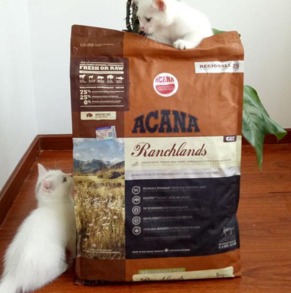 养猫的猫粮平价,618猫粮推荐烘焙