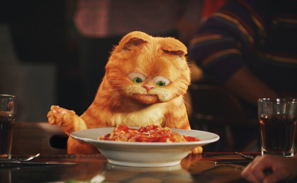 你是否也是猫奴呢？这只好吃懒*爱做**欺负其他动物的肥猫你还记得吗