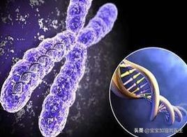 胚胎查出唇腭裂有什么后果,唇腭裂胎儿生下来怎么办