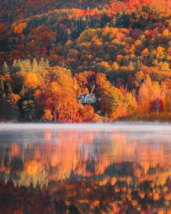 秋色正艳|掌握这6个小技巧，教你拍出绝美秋景