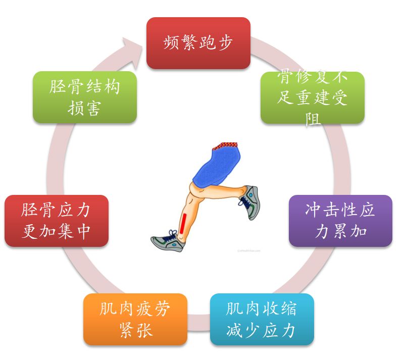 跑者小腿疼痛如何解决,初跑者小腿酸痛如何正确的跑步