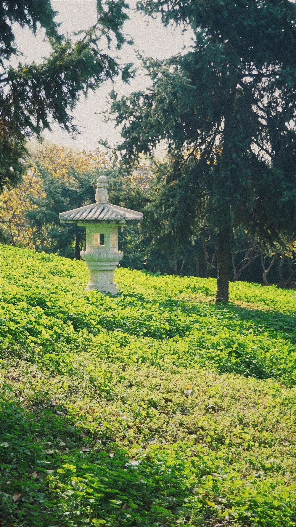 西安八月约会最佳地点,西安周末情侣最适合约会的地方