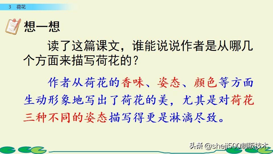 部编版三年级下册语文3荷花讲解,三年级下册部编语文荷花教学视频
