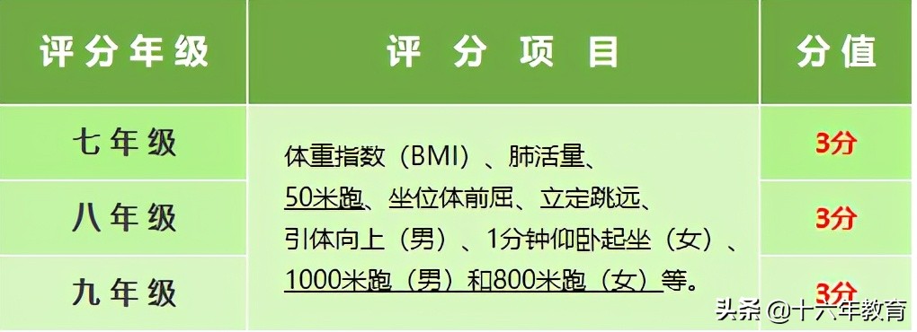 考前必看体育中考,2021年上海体育中考内容