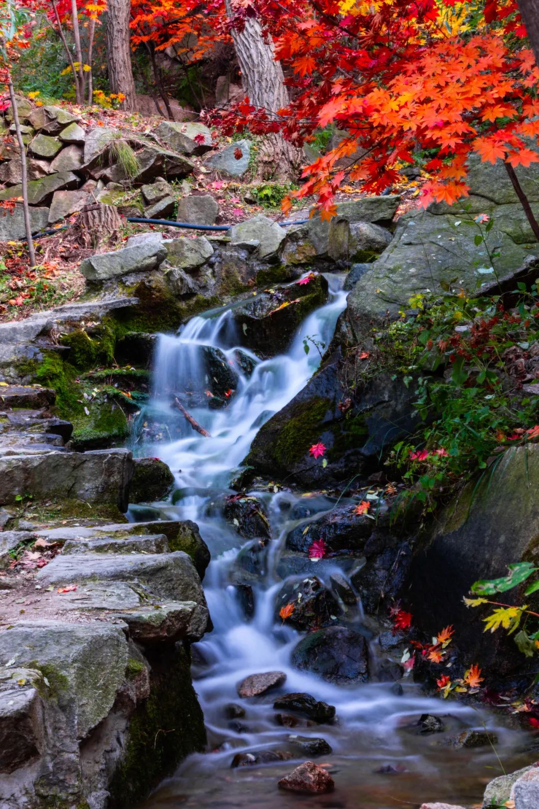 九如山什么季节去最好,秋游九如山旅游攻略