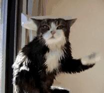 O型血易动怒、B型血乱花钱……医生揭示血型的真相！