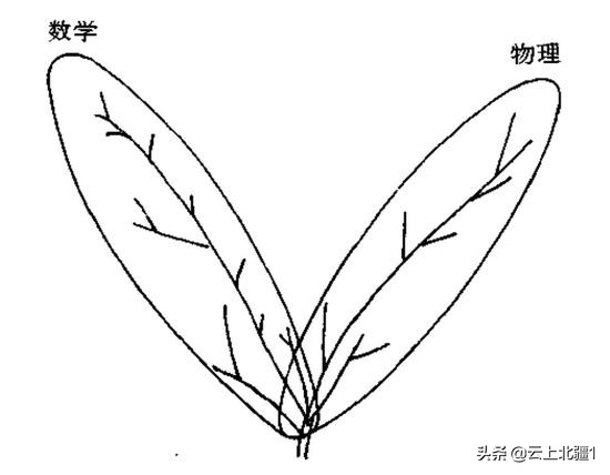 杨振宁何时反对建对撞机,杨振宁对撞机最后一战