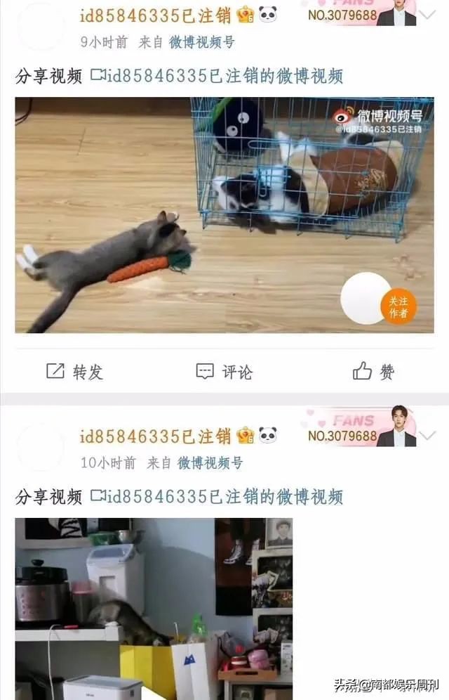 长沙楼塌最新伤亡情况,最近几年塌房的事件