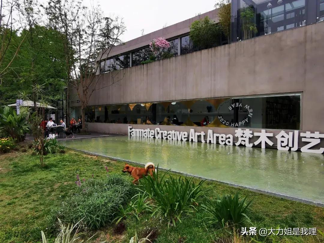 成都宝藏美食,成都东站万科魅力城美食