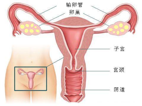 吃避孕药流产,流产要吃避孕药吗