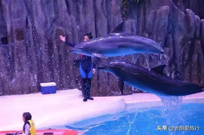 三八妇女节旅游景点门票哪里免费,三八妇女节有哪些景点免门票的