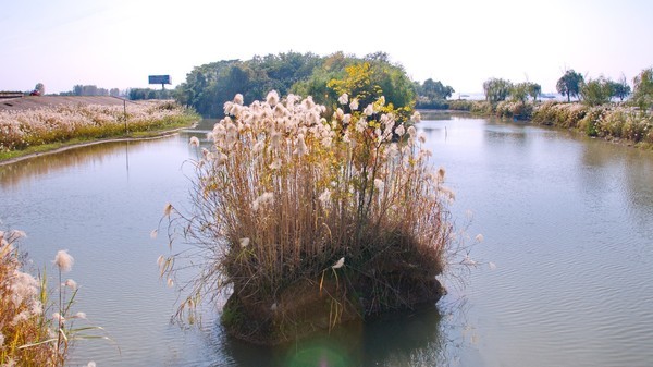 李白说的天门山是哪个天门山,李白望天门山是今天哪里