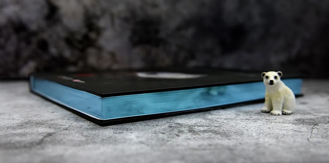 揭秘动物世界的“冷知识”,动物世界中的奇妙之处