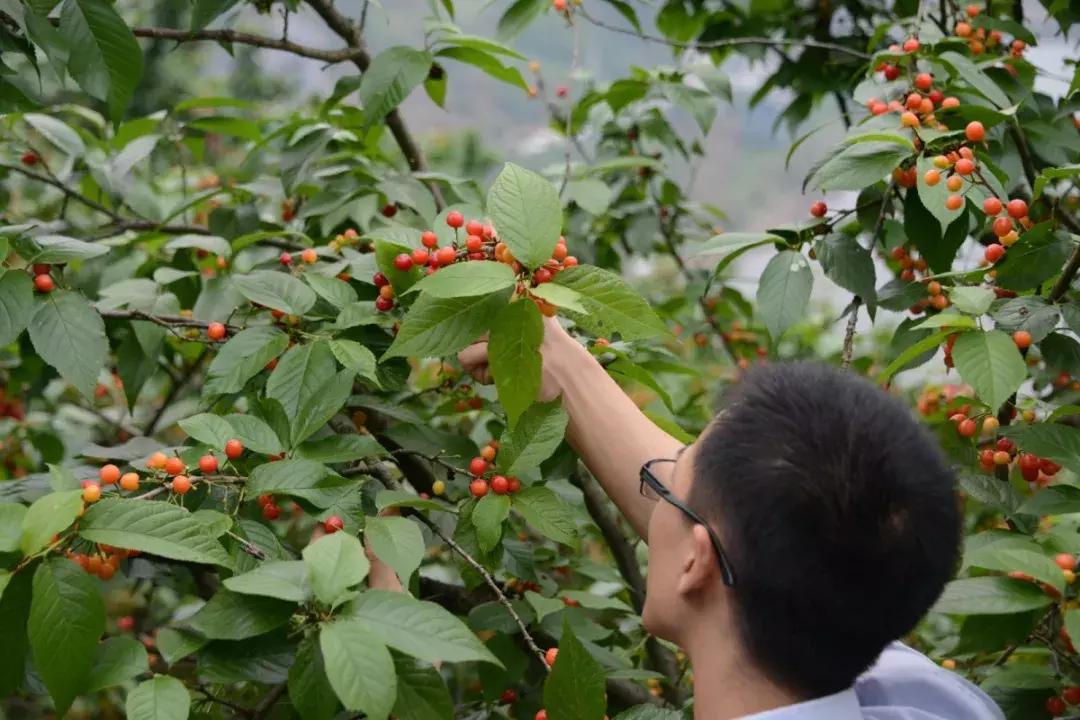 这一生必须去一次的地方,这一生要去一次丽江