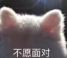 29岁女子7次流产记录后续,女子流产7次被老公发现最终结果