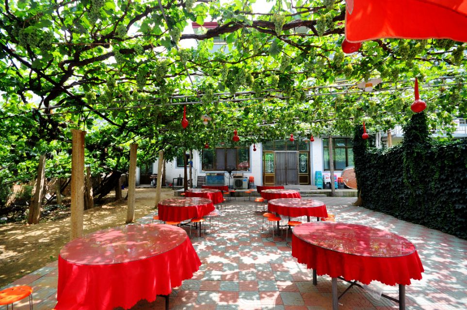 秦皇岛葡萄沟吉祥农家院,秦皇岛葡萄沟旅游攻略大全