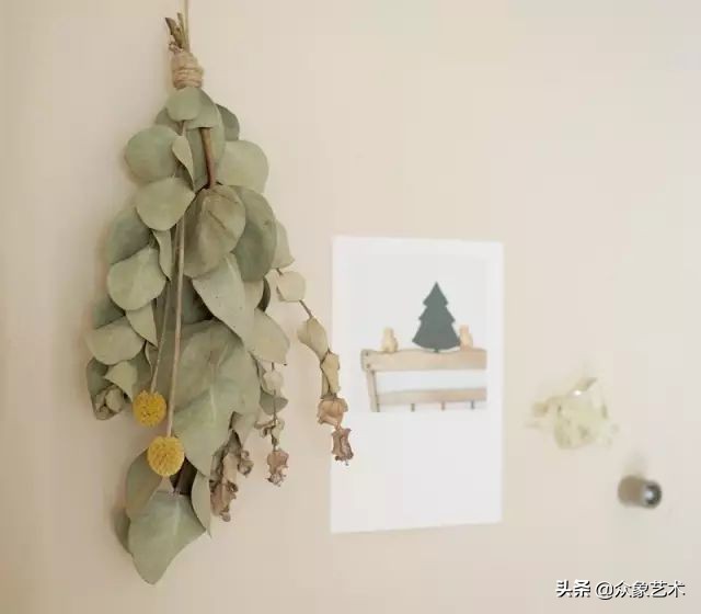 干花布置省钱,什么花适合做干花