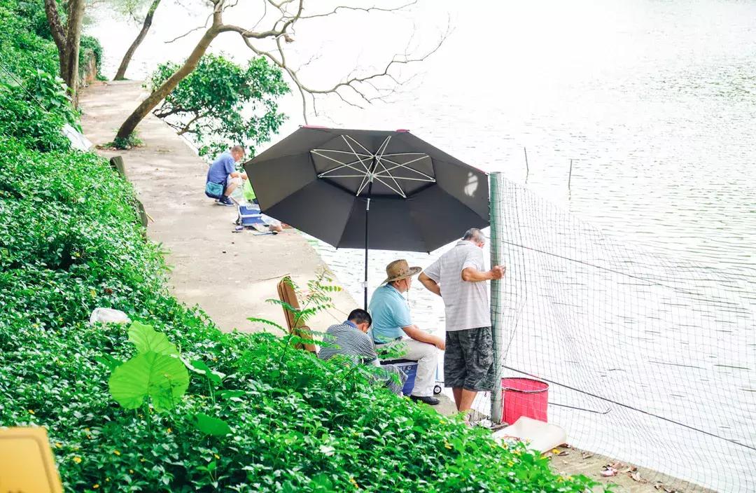 深圳银湖山游玩,深圳银湖有什么好玩的地方