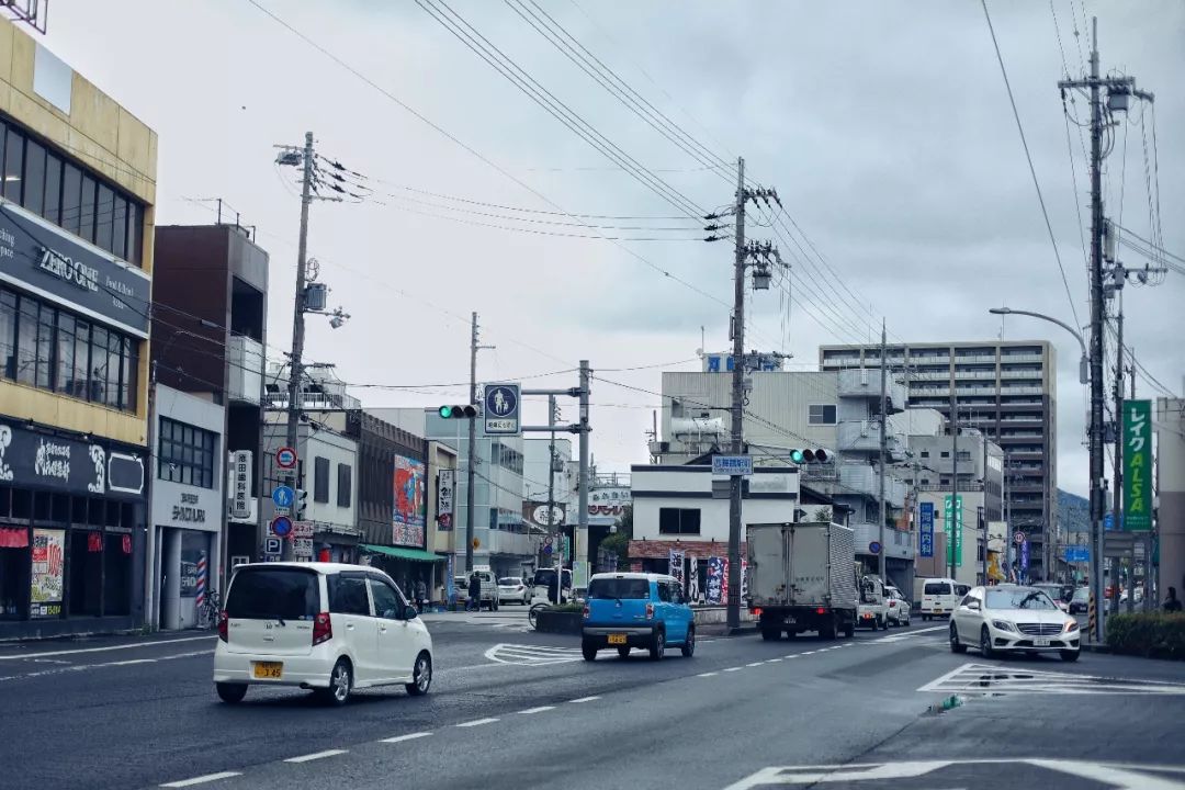 带父母豪华游轮环球旅行,带着父母们出游