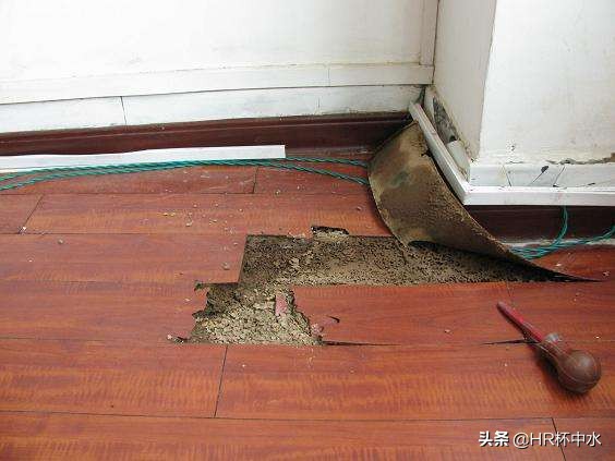 怎样防止白蚁从窗缝钻进去,长翅膀白蚁的消灭方法