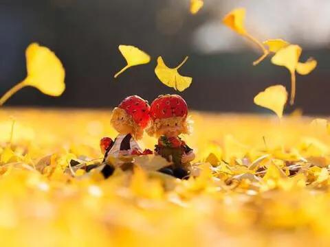 如何调整好自己的心态赵玉平,如何调整好自己的心态搞好军训