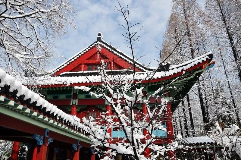 南师大马拉松开幕式,最美南师