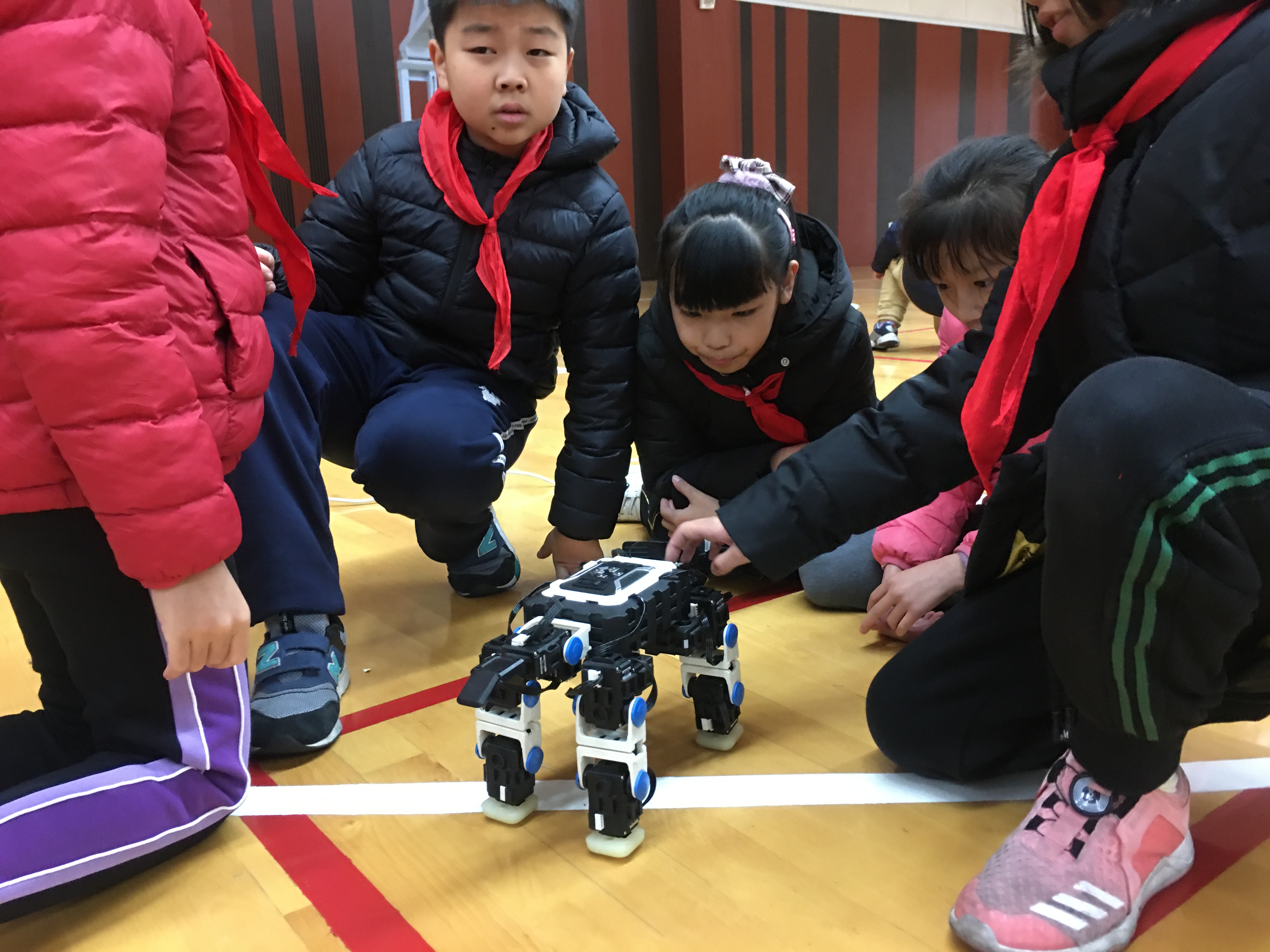 第五代教育机器人,牡丹江机器人教育