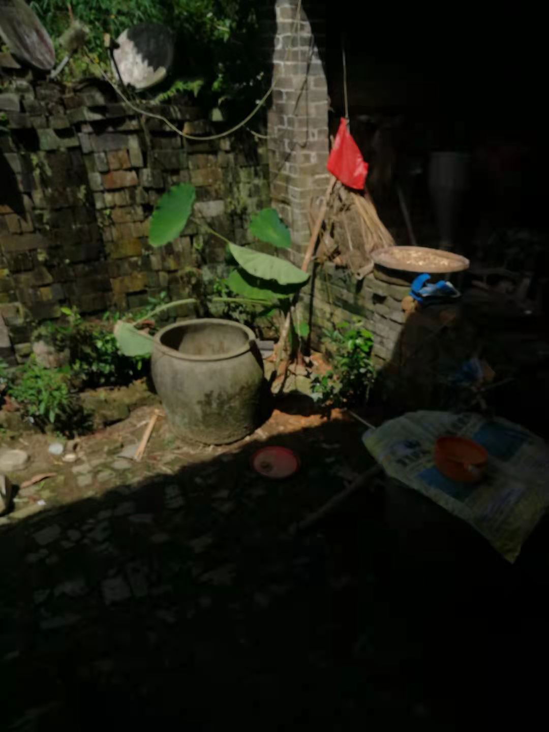 感恩母亲为我熬的粥,与煮粥有关的作文