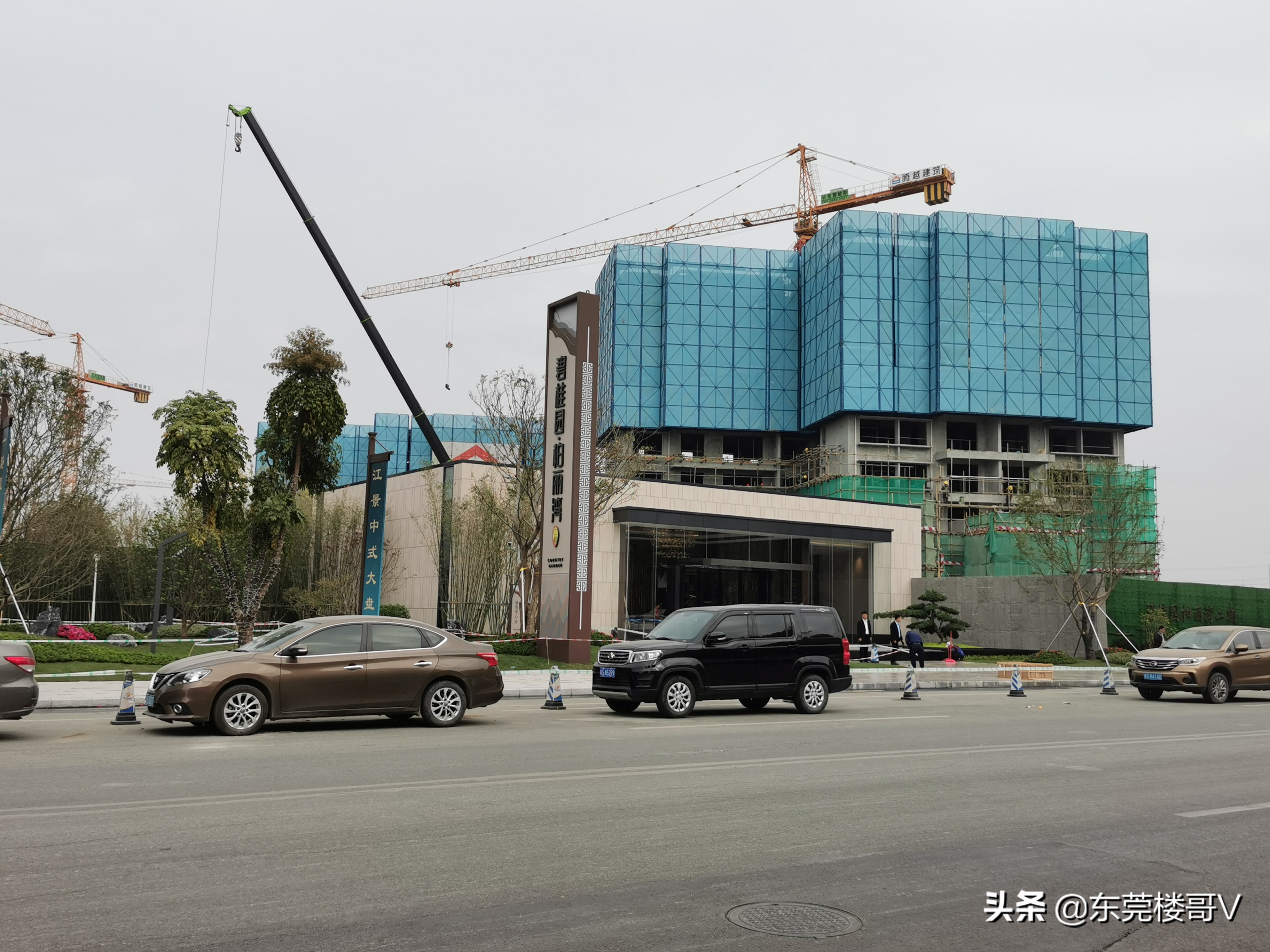 沙田碧桂园柏丽湾二期怎么样,沙田碧桂园柏丽湾入住率高不高