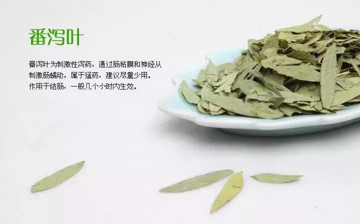 酵素青汁大麦若叶能减肥吗,大麦青汁真的能减肥吗测评