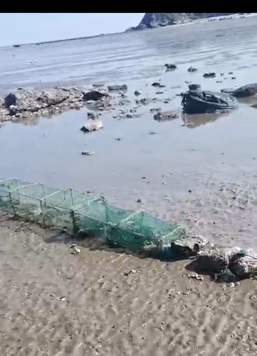 庄河黑岛赶海地点,庄河黑岛赶海潮汐表