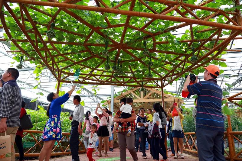 东南花都花博园景观,东南花都花博园