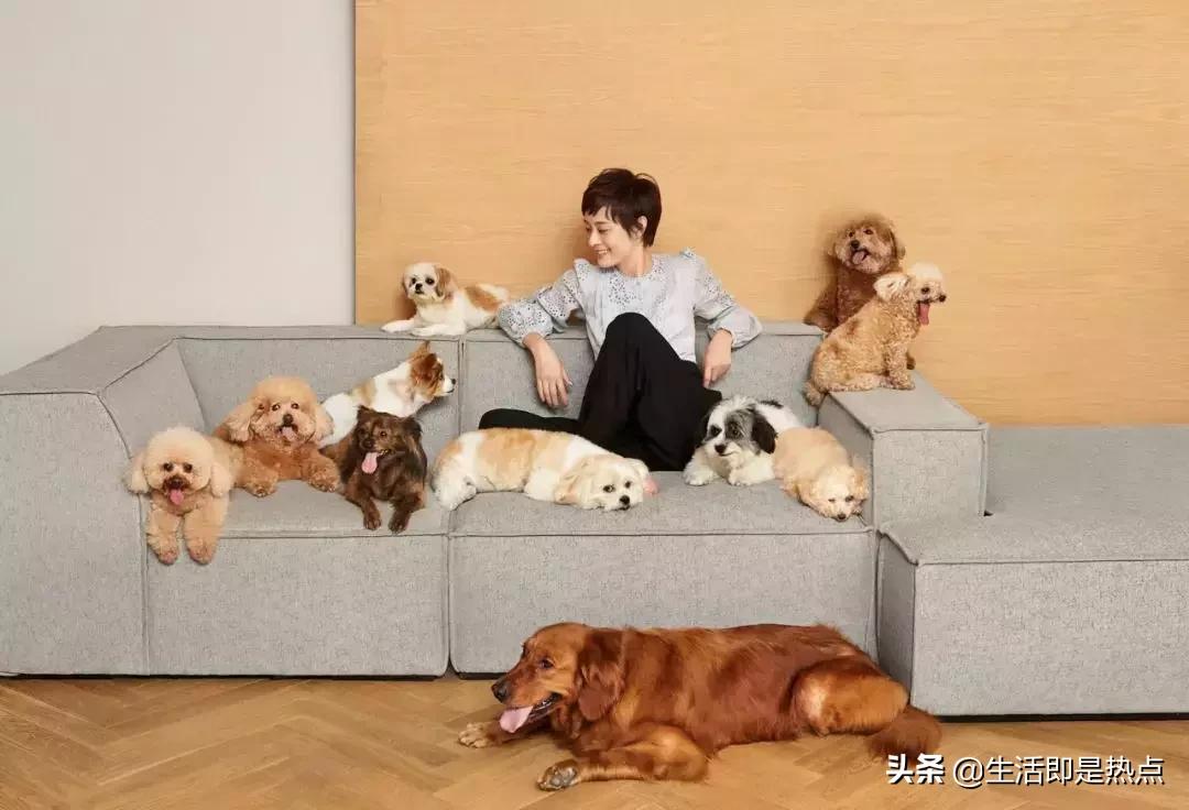 35岁孙俪重回颜值巅峰,孙俪对年龄的感慨