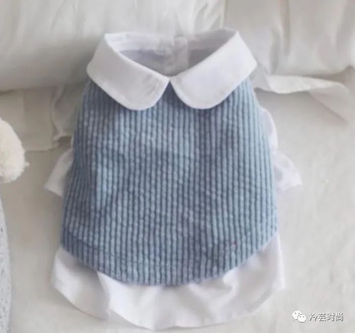 宠物新兴行业前景如何,宠物行业未来赚钱机会在哪