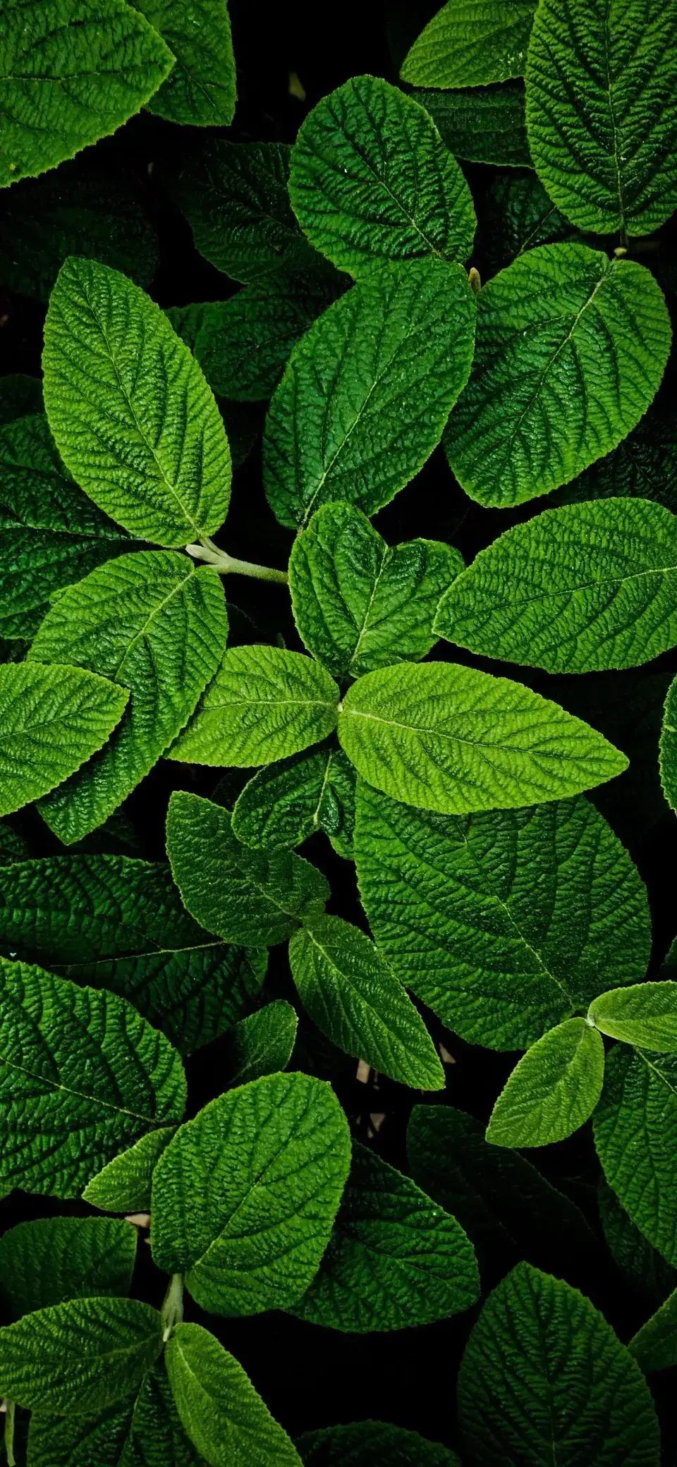 夏日激情四射的足球场,夏日绿茵球场