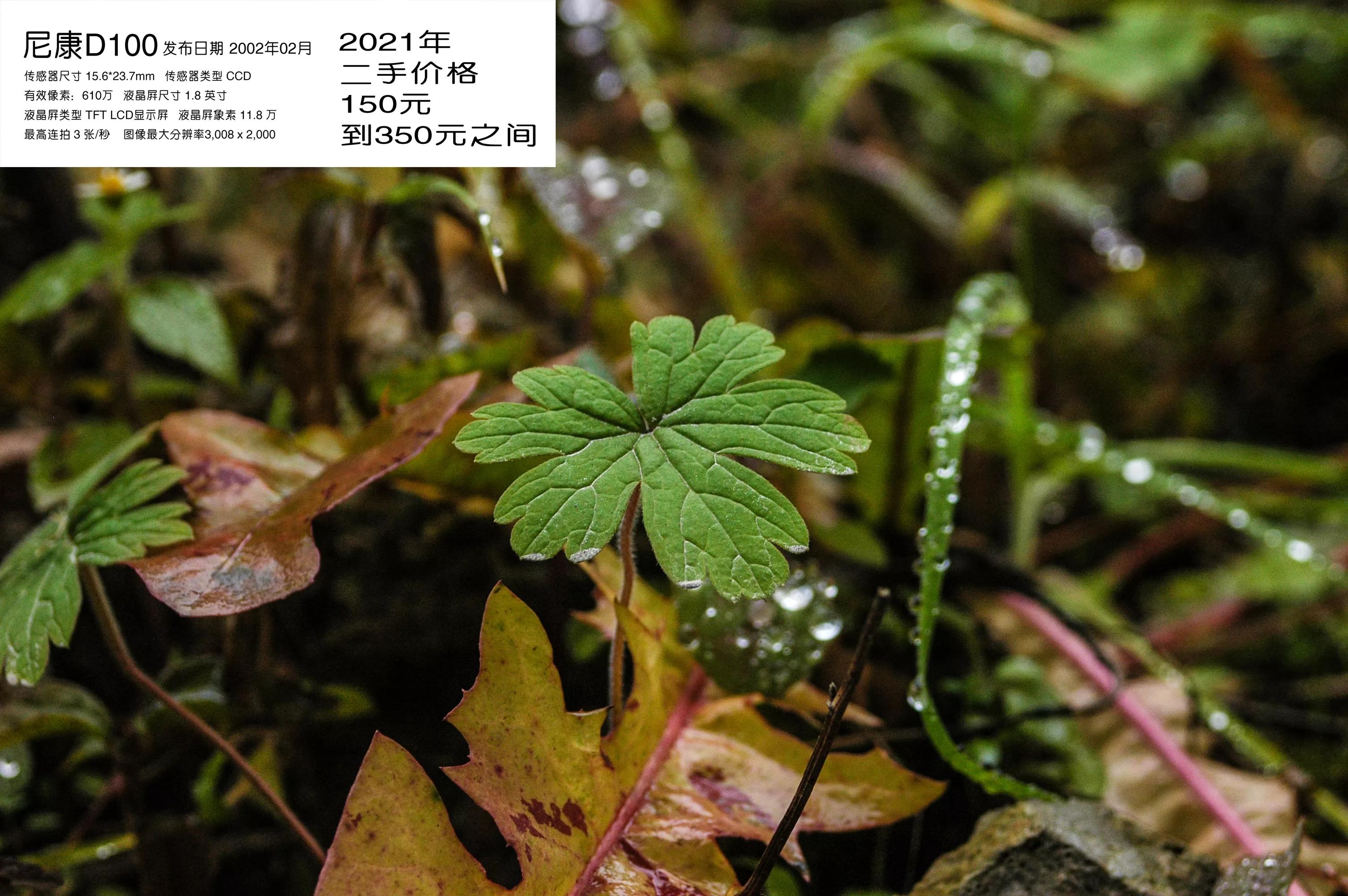 去学摄影花费2w到底值不值得,想学摄影不知道从哪里入手