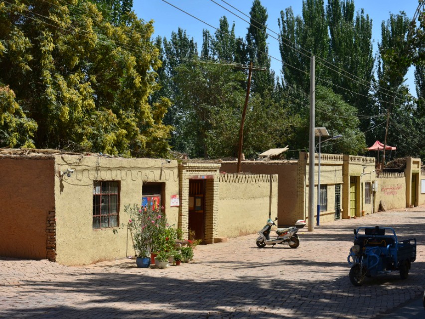 想吃葡萄一不留神掉海底了