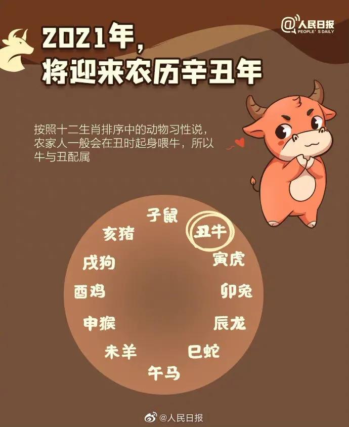 牛年农历表,教你看懂农历牛年知识