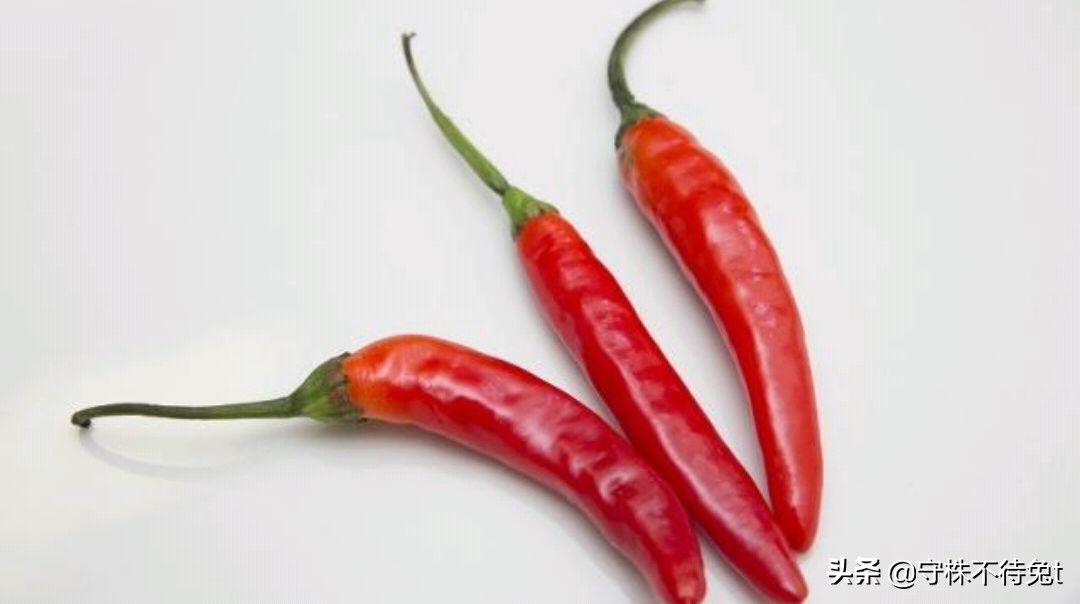 10个冷知识全集,睡觉时膝盖下垫枕头怎么回事