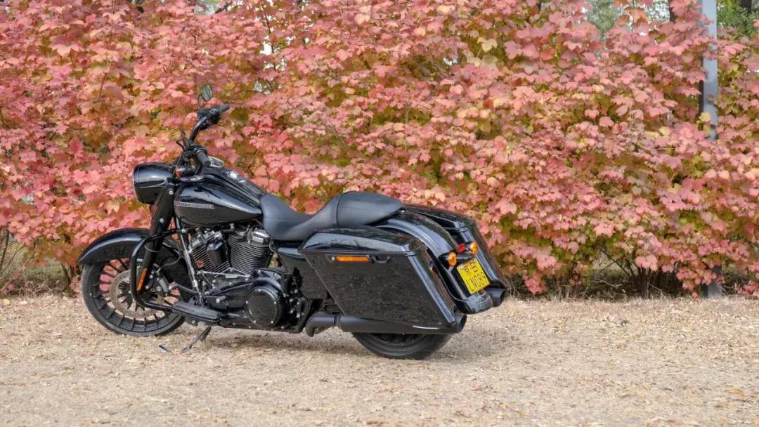 哈雷有几种,哈雷会越来越便宜吗