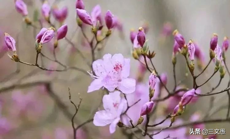 当角们走近东屏|浙江台州三门县雨中漫步游记