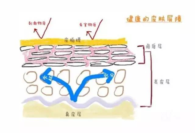 明星保养皮肤秘诀,男生怎么保养皮肤