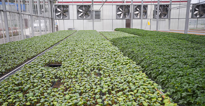 适合新人的创业项目小白如何创业,创业初期如何选择互联网创业项目