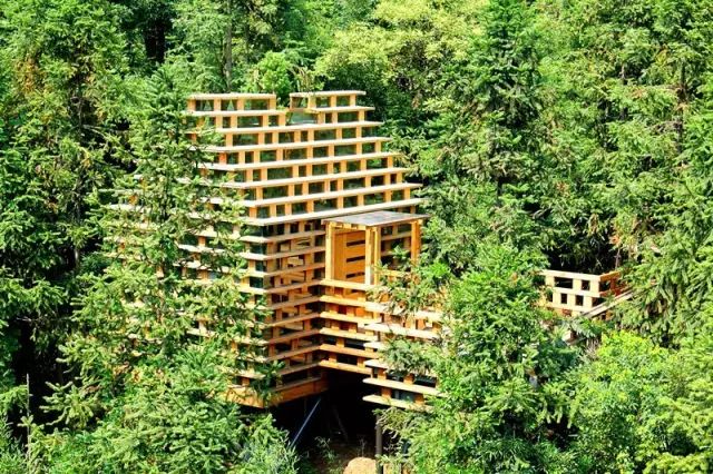 真正的森林树屋,这些树屋满足你对森林的所有幻想
