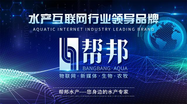 虾池水质太肥怎么办,虾池水体悬浮颗粒物怎么处理