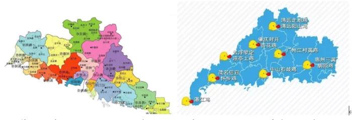 广东银蕨鸡怎么做,广东鸡的吃法大全和做法